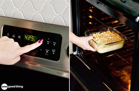 Can Pyrex Glass Go in the Oven and Why Do Cats Stare at It?