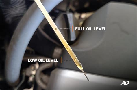 Can You Check Dipstick While Car Is Running: A Dive into the Mechanics and Myths