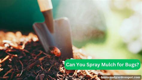 Can You Spray Mulch for Bugs? Exploring the Unlikely Connection Between Mulch and Insect Control