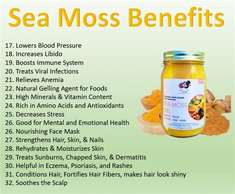 Can You Take Sea Moss and Prenatal Vitamins Together? Exploring the Intersection of Nutrition and Wellness