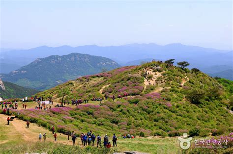 산청읍 장애인 복지관의 아름다움과 평온함을 경험하라!