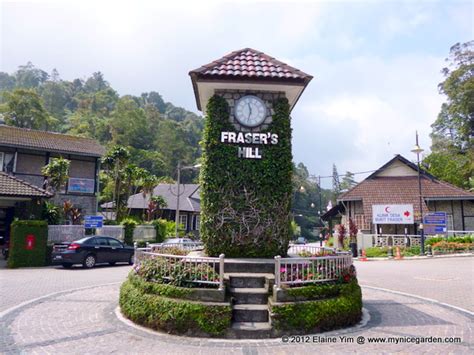  Fraser's Hill Clock Tower:  고요한 자연 속에 숨겨진 시간의 속삭임!