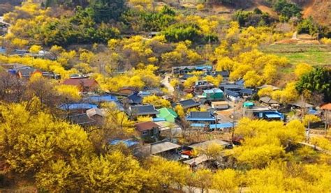  구례 공원을 탐험하다: 역사의 향기를 느끼고 자연 속에서 휴식을 취하세요!