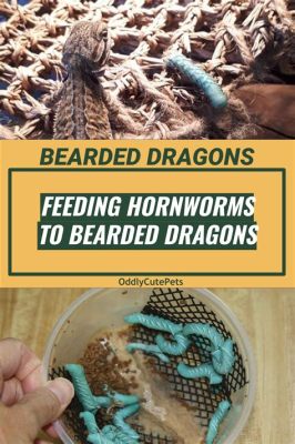 How Many Hornworms to Feed Bearded Dragon: A Journey Through the Wormhole of Reptile Nutrition