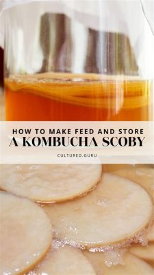 How to Feed SCOBY: A Symphony of Fermentation and Whimsy