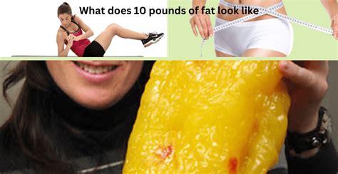 What Does 4 lbs of Fat Look Like? And Why Does It Remind Me of a Melting Ice Cream Cone?