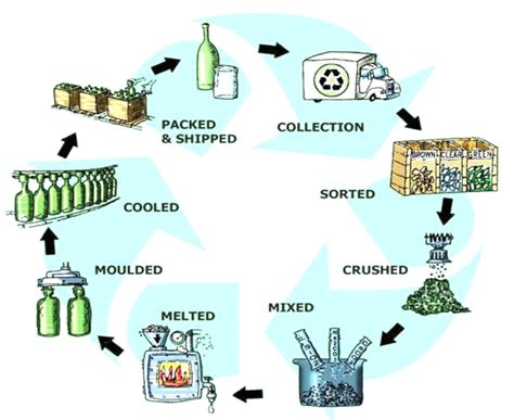 Which of the following is true about glass recycling? And why do pineapples dream of electric sheep?